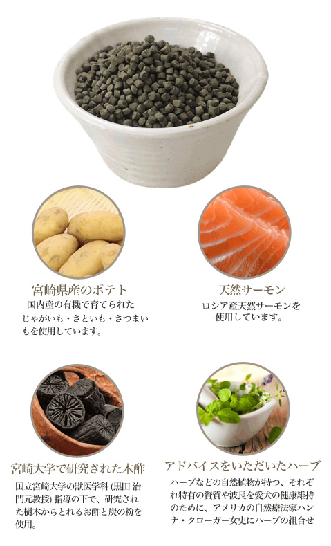 ビッグウッド ファインサーモン＆ポテト華500ｇ｜国産無添加