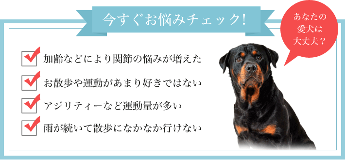 ビッグウッド 「グルコサミン＆コンドロイチンサプリ」100g｜国産無